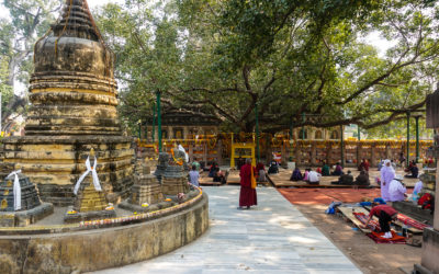 Mahabodhi Temple: A Place for Meditation